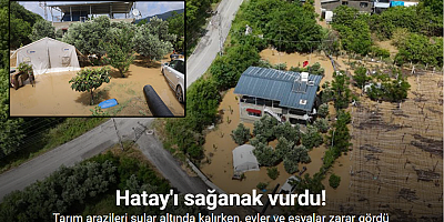 Defne’de tarım arazileri sular altında kalırken, evlerde eşyalar zarar gördü
