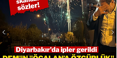 DEM'in 