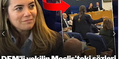 DEM'li vekilin Meclis'teki sözleri Türkeş'in kızını çıldırttı