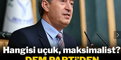 DEM Parti'den Bahçeli'ye 'maksimalist talep' yanıtı