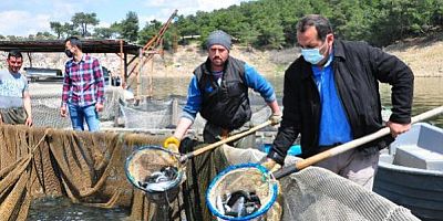 Denizi olmayan Manisa dünyanın dört bir yanına balık gönderiyor! 1 milyon dolarlık kazanç kapısı
