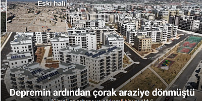 Depremin ardından çorak araziye dönen bölge depremzede vatandaşlara yuva oldu
