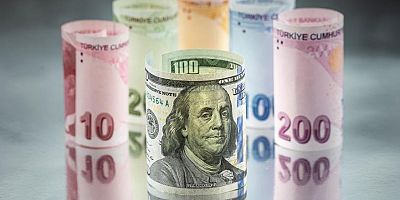 Dev finans kuruluşlarından Ağbal ve döviz yorumu