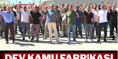 Dev kamu fabrikası bile bile batırılıyor