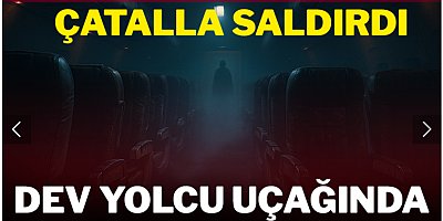 Dev yolcu uçağında dehşet: Bağırıp hosteslere çatalla saldırdı!