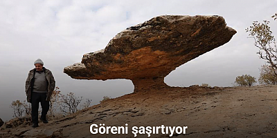 Diyarbakır’da buzul çağ kalıntısı: Tam 6 milyon yıl önceye ait