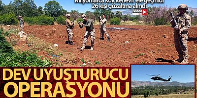 Diyarbakır'da dev uyuşturucu operasyonu: Milyonlarca kök kenevir ele geçirildi, 26 kişi gözaltına alındı