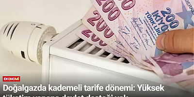 Doğalgazda kademeli tarife dönemi: Yüksek tüketim yapana devlet desteği yok