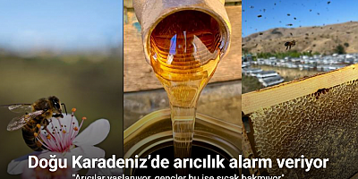 Doğu Karadeniz’de arıcılık alarm veriyor