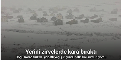 Doğu Karadeniz’in sahili ve iç kesimlerindeki şiddetli yağış yerini zirvelerde kara bıraktı