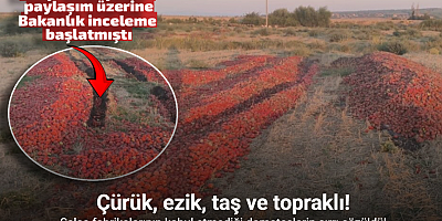Dökülen domateslerin çürük olduğu ortaya çıktı