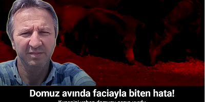 Domuz avında faciayla biten hata: Kuzenini yaban domuzu sanıp vurdu