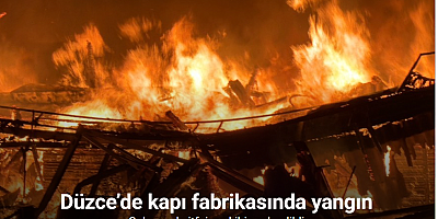 Düzce’de kapı fabrikasında yangın