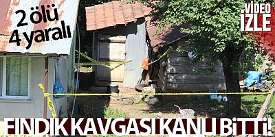 Düzce'ye fındık toplamaya gelen ailede kavga: 2 ölü, 2'si ağır 4 yaralı