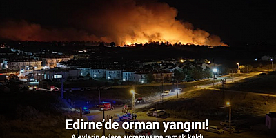 Edirne’de orman yangını: Alevlerin evlere sıçramasına ramak kaldı