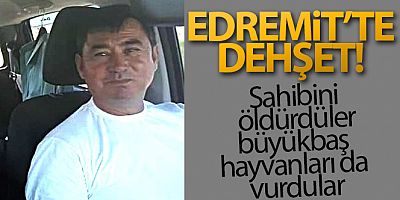 Edremit'te dehşet: Sahibini öldürdüler, büyükbaş hayvanları da vurdular