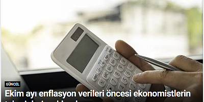 Ekim ayı enflasyon verileri öncesi ekonomistlerin tahminleri açıklandı