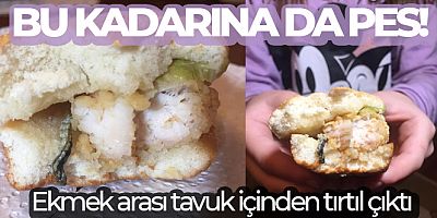 Ekmek arası tavuk içinden tırtıl çıktı iddiası