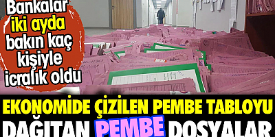 Ekonomide çizilen pembe tabloyu dağıtan pembe dosyalar