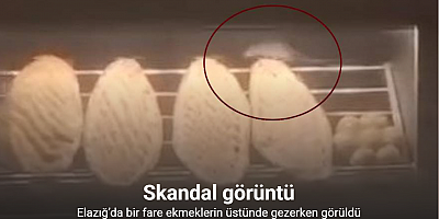 Elazığ’da bir fare ekmeklerin üstünde gezerken görüldü
