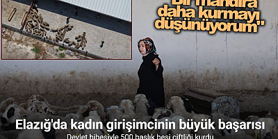 Elazığlı kadın girişimci devlet desteğiyle çiftlik kurdu