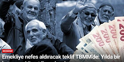 Emekliye nefes aldıracak teklif TBMM'de: Yılda bir kez asgari ücret ikramiyesi