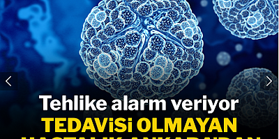 En tehlikeli hastalık Ankara'dan sonra Bolu'da da görüldü: Tedavisi yok!