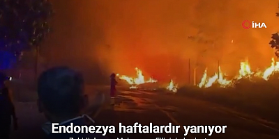 Endonezya haftalardır yanıyor: Zehirli duman Malezya ve Filipinler'e ulaştı