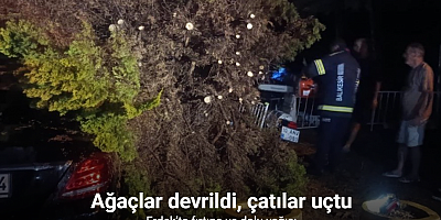 Erdek’te fırtına ve dolu yağışı: Ağaçlar devrildi, çatılar uçtu