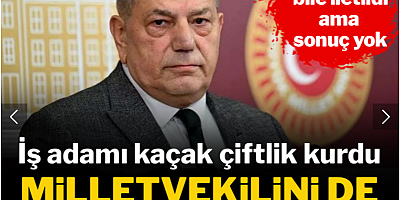 Erdoğan'a bile iletildi ama sonuç yok! İş adamı kaçak çiftlik kurdu, milletvekilini de tehdit etti