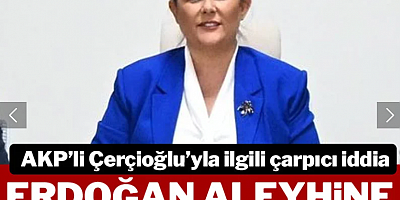 Erdoğan aleyhine kitap mı yazdırdı?