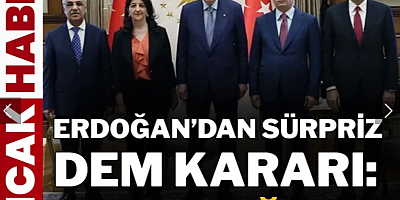 Erdoğan'dan sürpriz DEM kararı: Tarih değişti