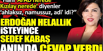 Erdoğan helallik isteyince Sedef Kabaş anında cevap verdi