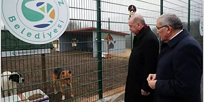 Erdoğan'ın açıklamasının ardından peş peşe algı operasyonları! Şimdi de Beykoz hedefte