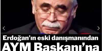 Erdoğan’ın eski hukuk danışmanından AYM Başkanı’na zehir zemberek çıkış