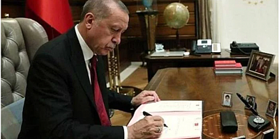 Erdoğan, PKK hükümlüsünün cezasını kaldırdı