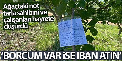 Erik ağacının dalına not bıraktı: 'Borcum var ise IBAN atın'