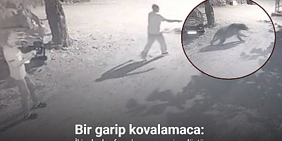 Erzincan’da bir garip kovalamaca: İki arkadaş fenerle ayının peşine düştü