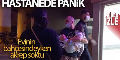 Erzincan'da küçük kızı akrep soktu!