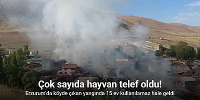 Erzurum’da köyde çıkan yangında 15 ev kullanılamaz hale geldi