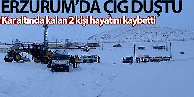 Erzurum'da mezrada çığ düştü, 2 kişi hayatını kaybetti
