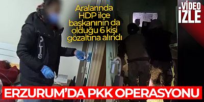 Erzurum'da PKK operasyonu: Aralarında HDP ilçe başkanının da olduğu 6 kişi gözaltına alındı