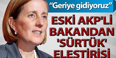 Eski AKP'li Bakan Kavaf'tan 'sürtük' eleştirisi: Kadın hakları konusunda geriye gidildiğini görüyoruz