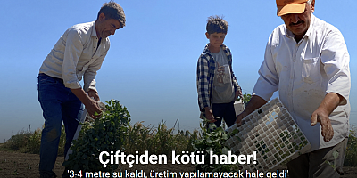 Eskişehirli çiftçinin alın teri kuraklığa ve yüksek maliyetlere yenik düştü