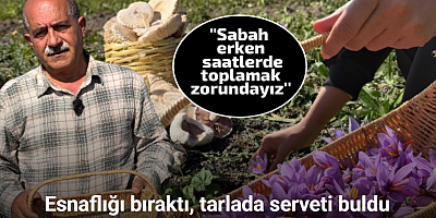 Esnaflığı bıraktı, tarlada serveti buldu: Kilosu 1 milyon lirayı bulan 