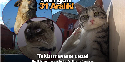 Evcil hayvan sahiplerine 