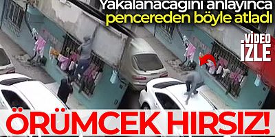 Eve giren hırsız yakalanacağını anlayınca pencereden böyle atladı