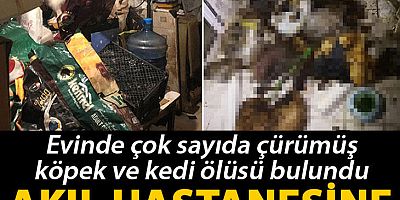 Evinde çok sayıda çürümüş köpek ve kedi ölüsü bulundu, akıl hastanesine sevk edildi