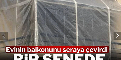 Evinin balkonunu seraya çevirdi: Kilosunu 15 bin liraya satıyor, 1 senede servet kazandı
