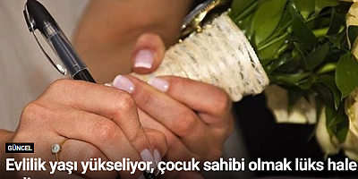 Evlilik yaşı yükseliyor, çocuk sahibi olmak lüks hale geliyor